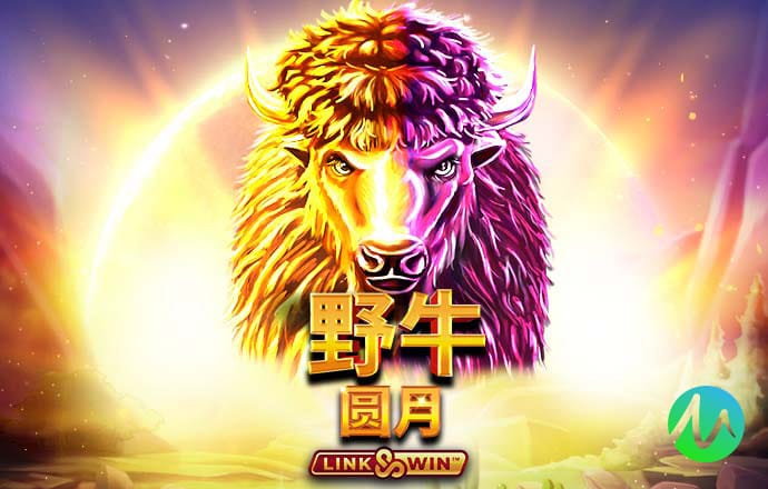 期期中app下载