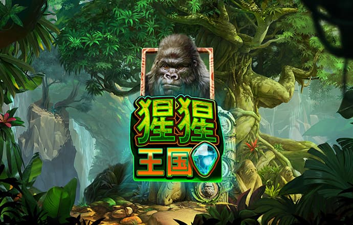 qy球友会手机版